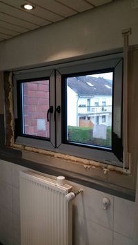 Fenster (30)